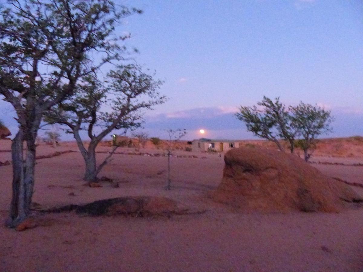 Ozohere Campsite And Himba Village Uis Eksteriør billede